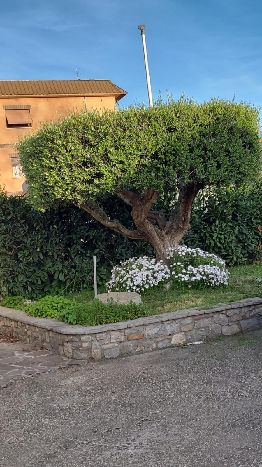 Casetta Delle Fiabe Roma Exterior foto